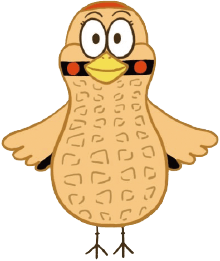 鳥のサイト